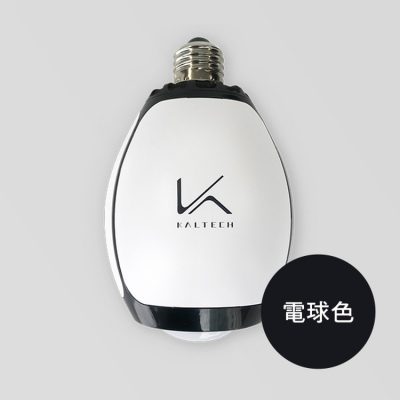 カルテック　光触媒 除菌・脱臭機　TURND K（ターンドケイ）　脱臭LED電球（電球色）
