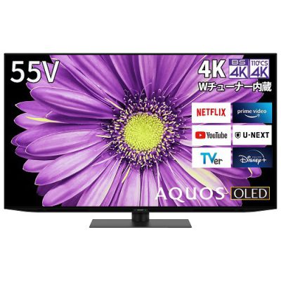 【標準設置対応付】シャープ　4T-C55DQ2 　AQUOS　 DQ2シリーズ 55V型 BS/CS 4K内蔵有機ELテレビ